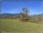 foto Alle pendici del Monte Grappa in Autunno